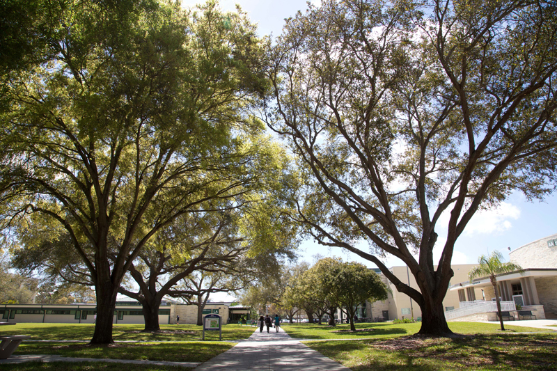 St. Petersburg College’s Clearwater campus. (Photo: St. Petersburg College)