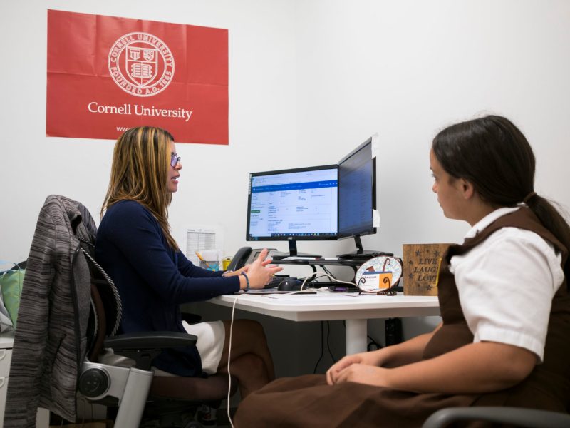 puerto rico colleges